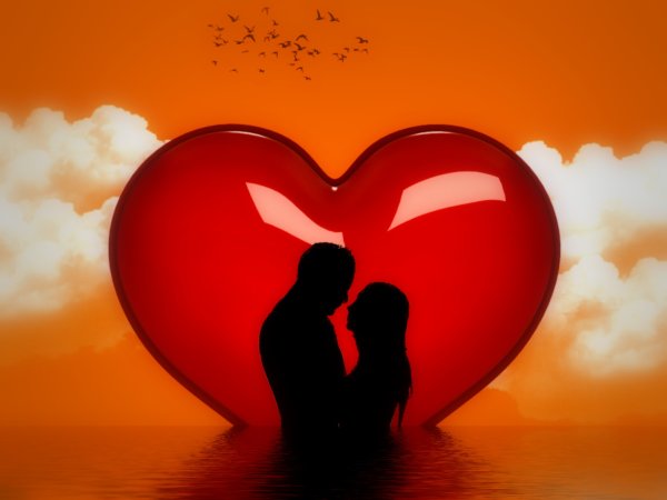 Сердце любовь