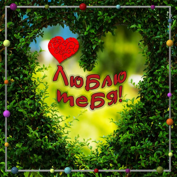 Я люблю тебя любимая моя