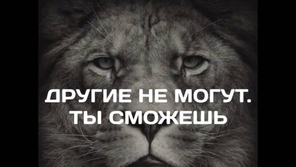 Мотивирующие цитаты