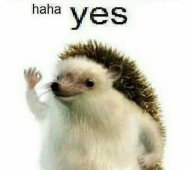 Да да я