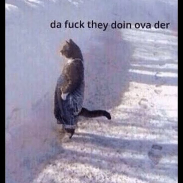What are they doing over there