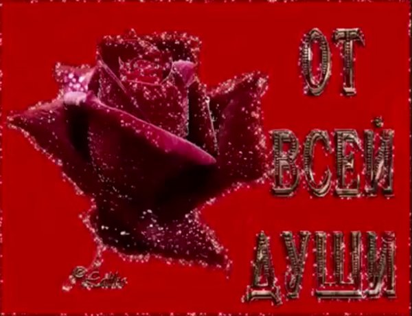 От всей души