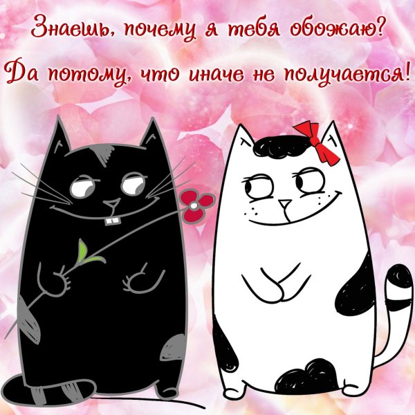 Нарисованные коты