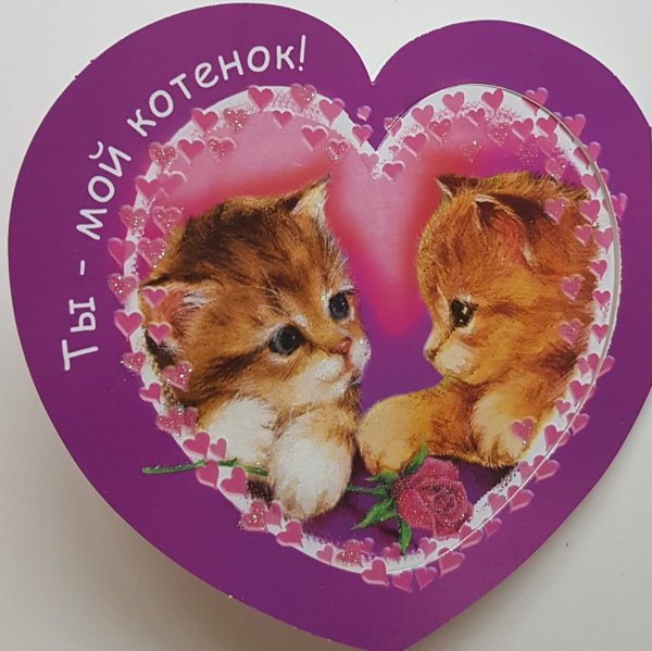 Любимому котенку