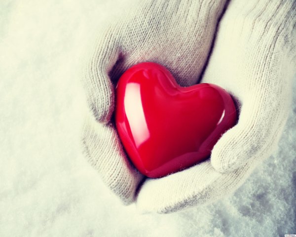 Сердце любовь