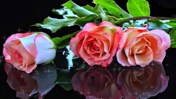 Цветы для прекрасной дамы