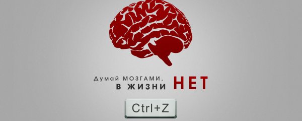 Мозг в стиле Минимализм