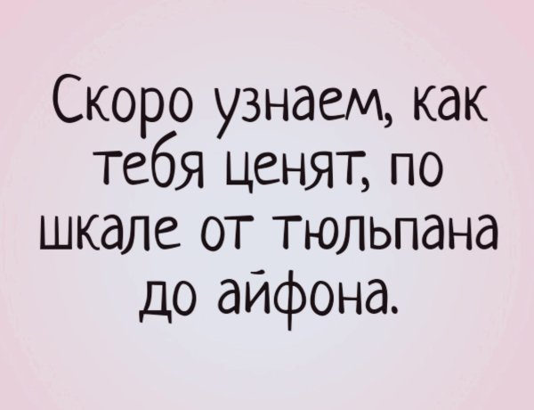 По шкале от тюльпана до айфона