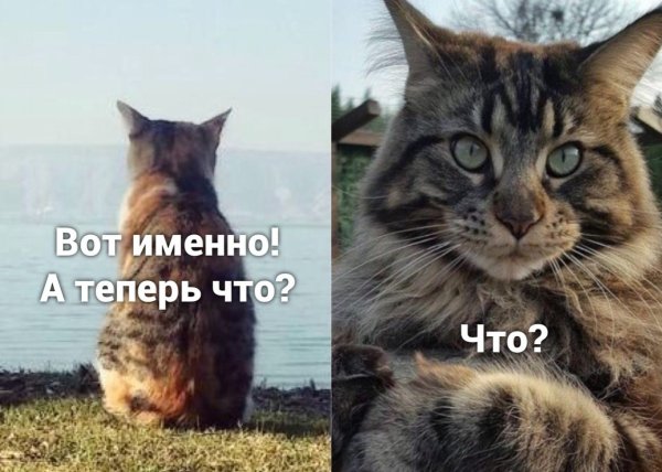 Чего не бывает ни разу в году