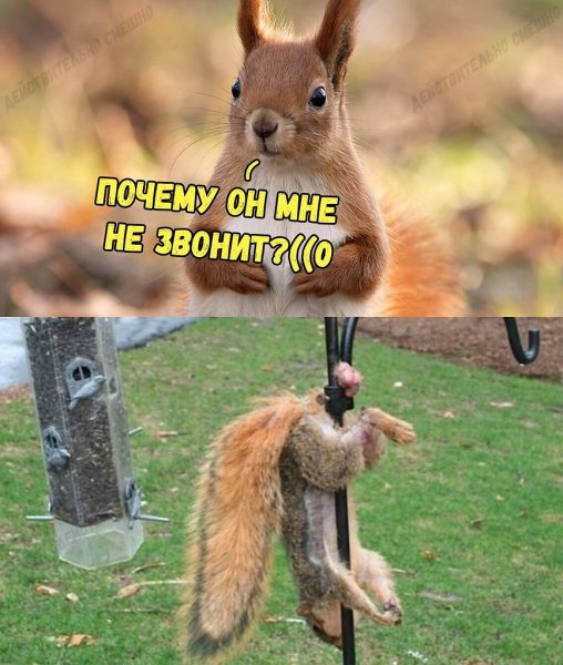 Юмор для поднятия настроения