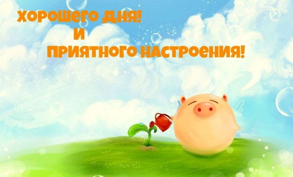 Хорошего дня и отличного