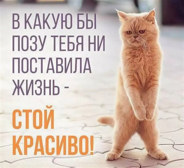 Позитивные надписи