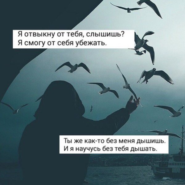 Я не могу без тебя цитаты