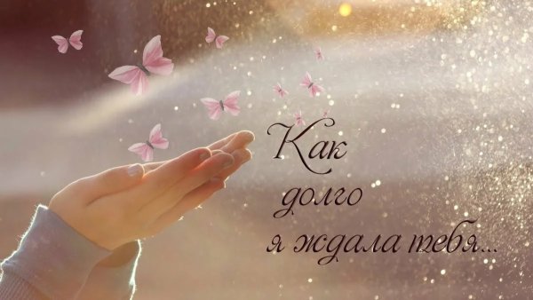 Я так долго тебя ждала