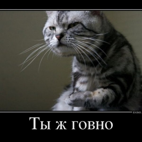 Ты принес мне вискас Джонни