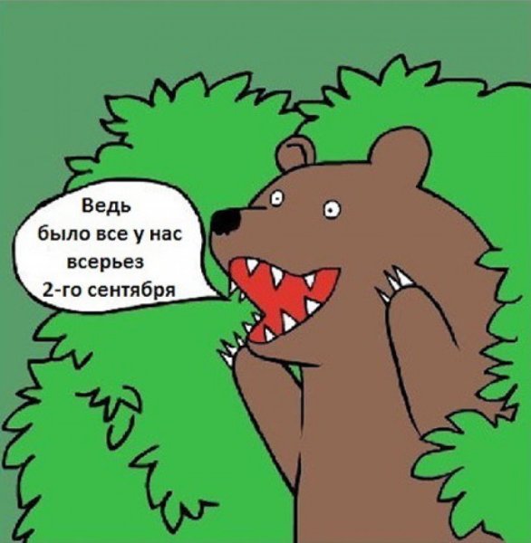 Превед медвед