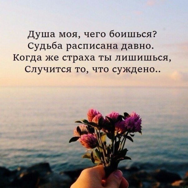 Красивые фразы
