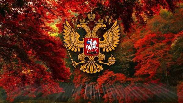Конкурс я люблю тебя Россия