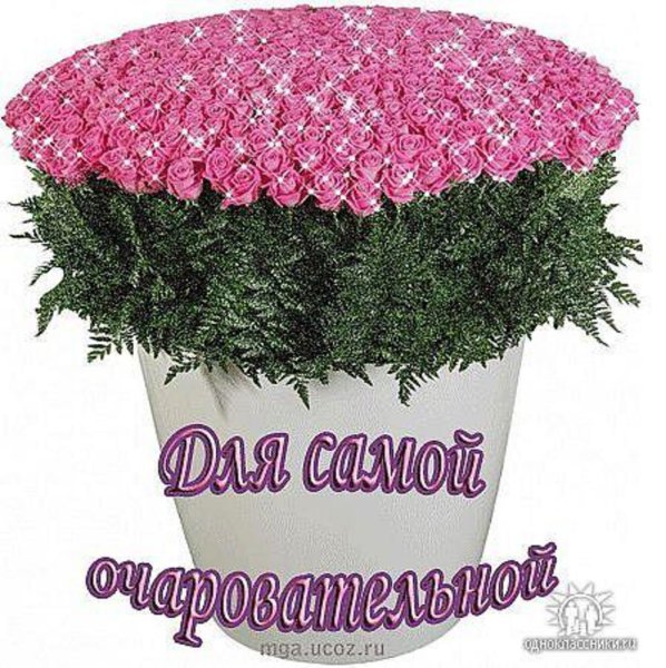 Цветы для самой красивой девушки