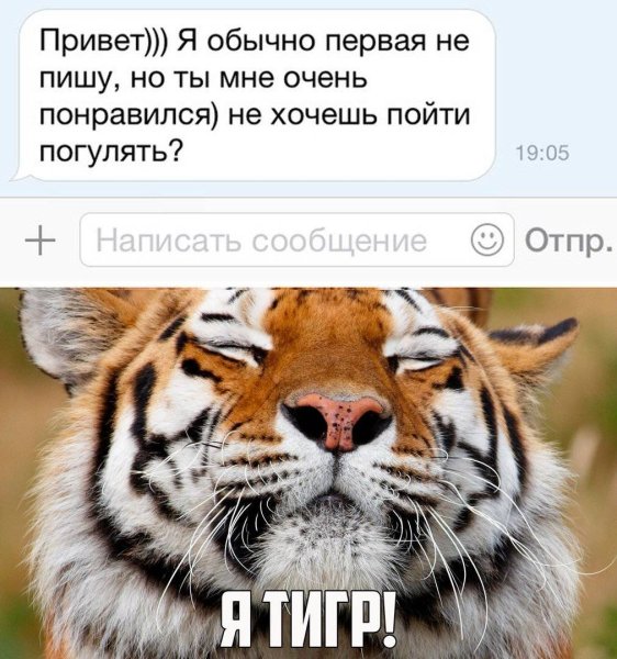 Анекдоты про тигров