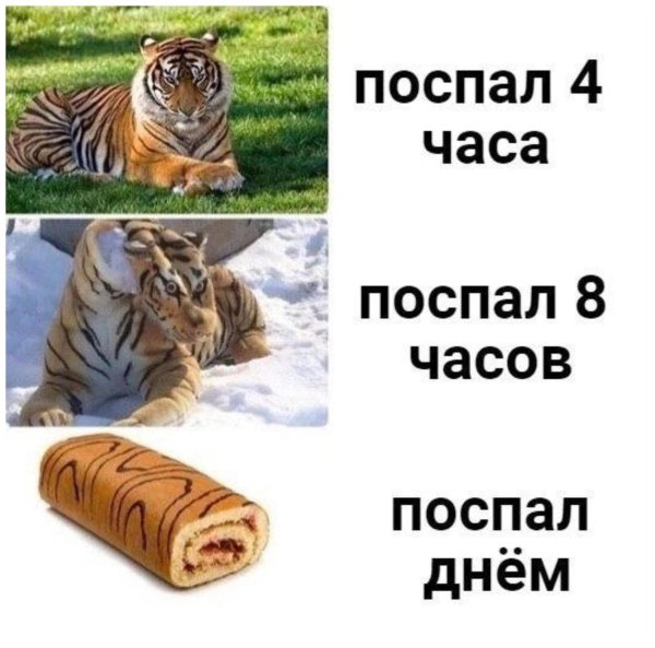Тигр Мем