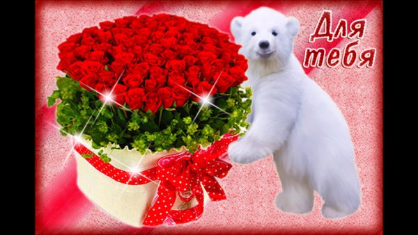 Спокойной ночи сладких снов