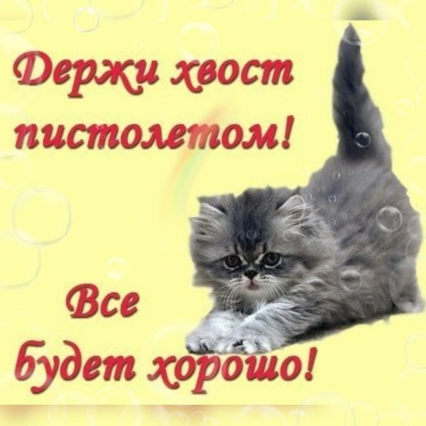 Непереживпй все будет хорошо