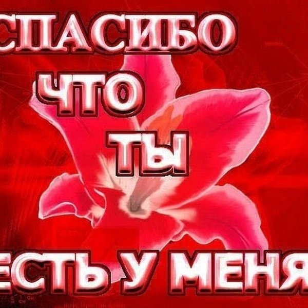 Спасибо любимый