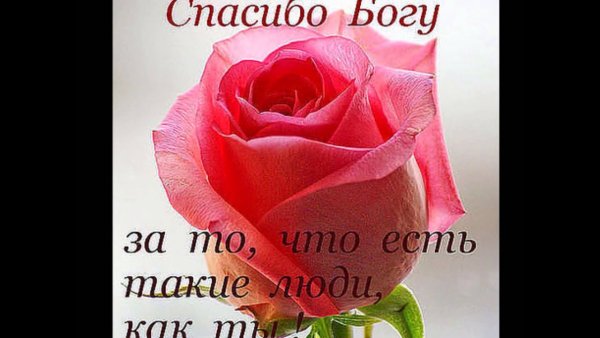 Спасибо вам за то что вы есть