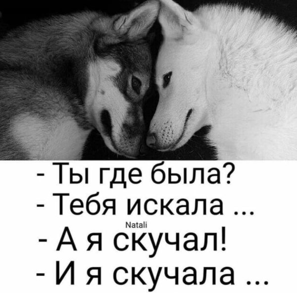 Просто соскучилась