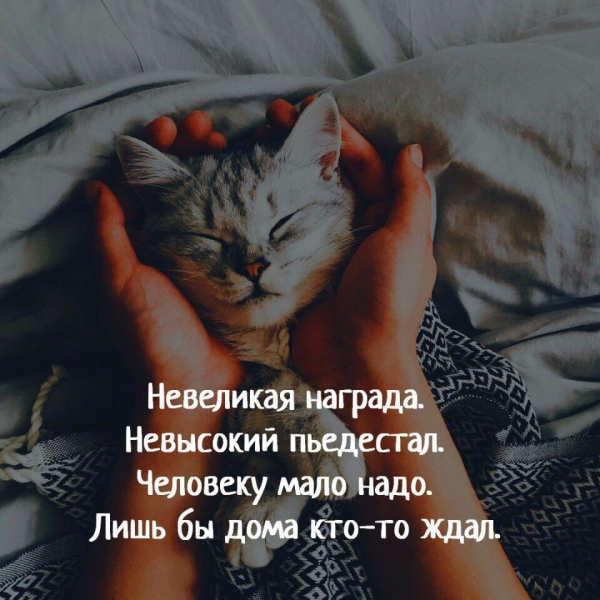 Человеку надо мало