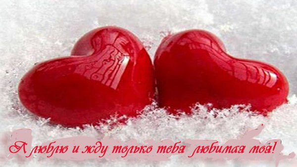 Мечтаю о нашей встрече