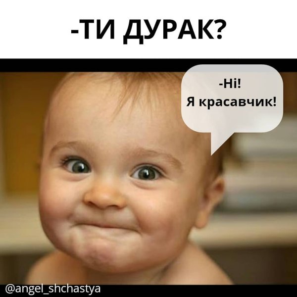 Ты дурак не я красавчик