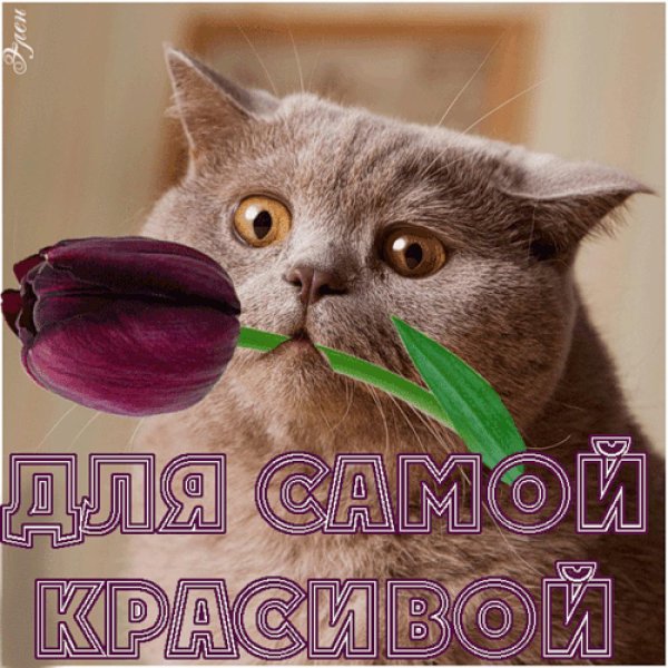 Открытки ты супер