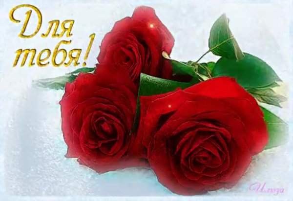 Я желаю счастья вам