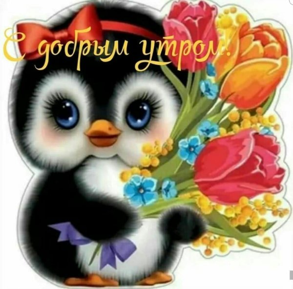 Красивые открытки для девушки