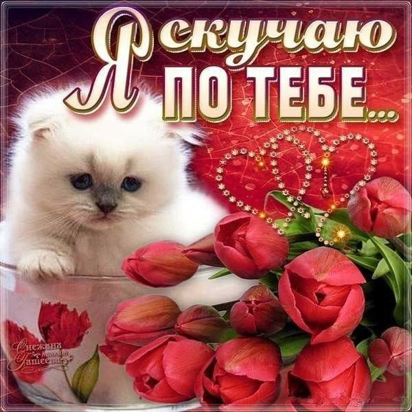 Открытка самой красивой девушке