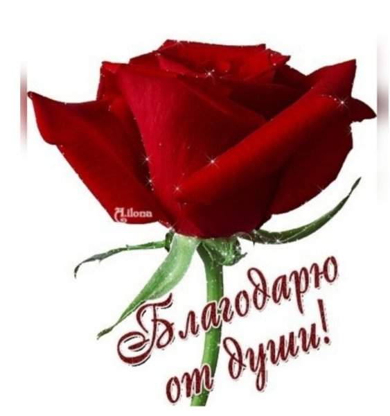 Красивые открытки