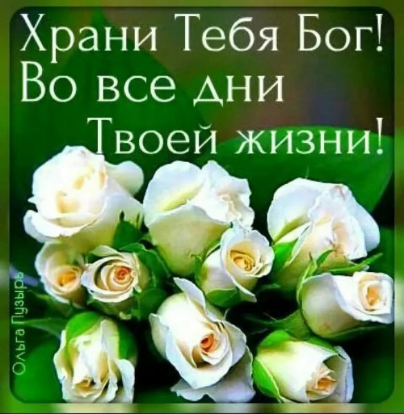 Пусть Бог хранит тебя