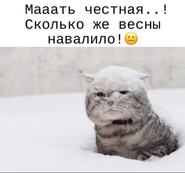 Весна ты где