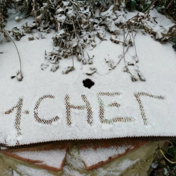 Поздравление с первым снегом