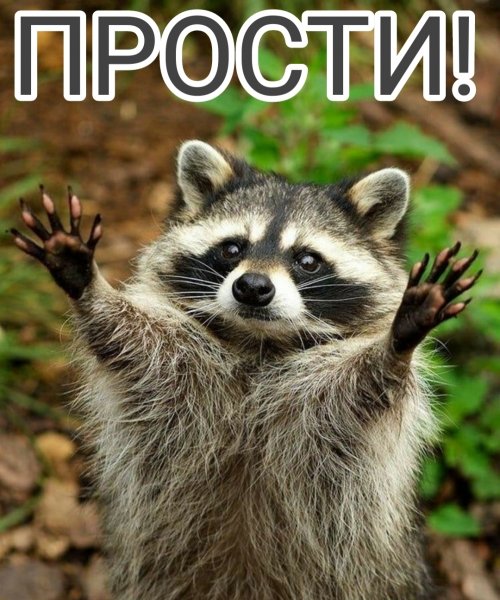 Прошу понять и простить