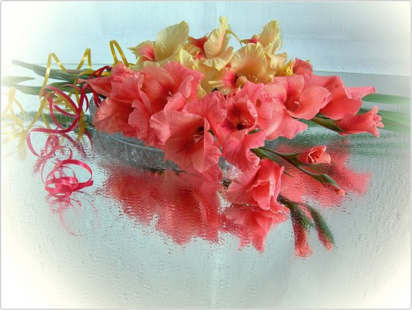 Открытки с гладиолусами с днем рождения женщине