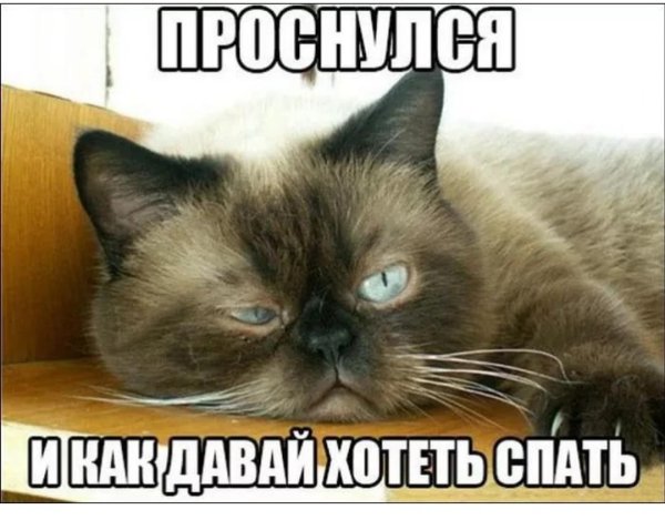 Проснулся прикол
