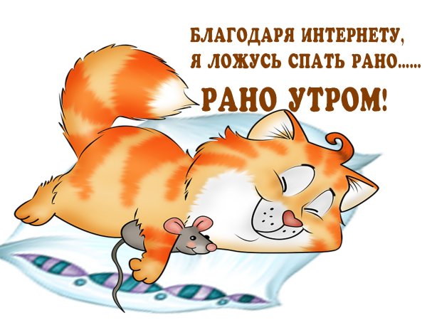 Спокойной ночи прикольные
