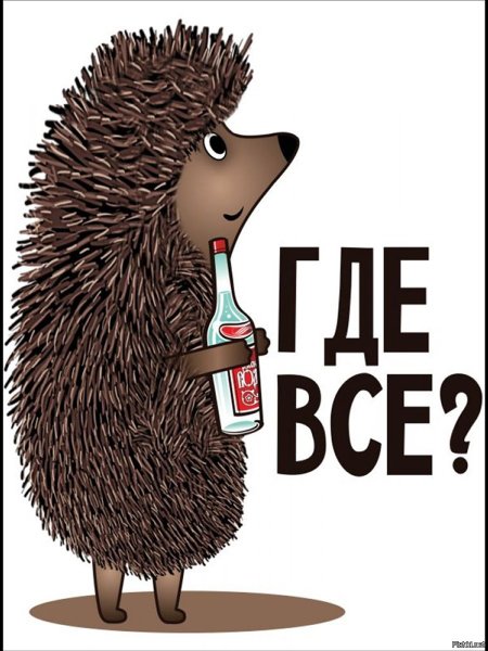 Постер Ежик