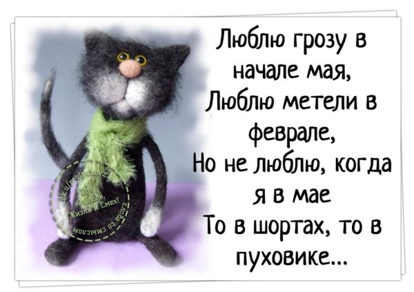 Смешные фразы про Холодное лето