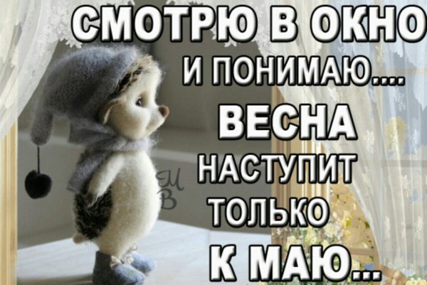 Смотрю в окно и понимаю