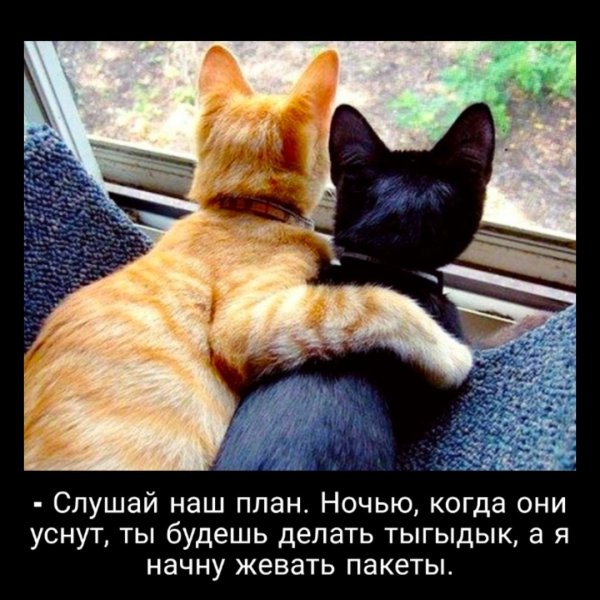 Вот так хочу тебя обнять