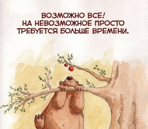 Дима царь